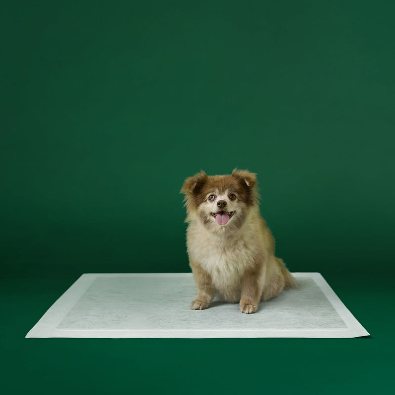 Disposable Dog Pee Pads with AbsorbShield+ Technology N5